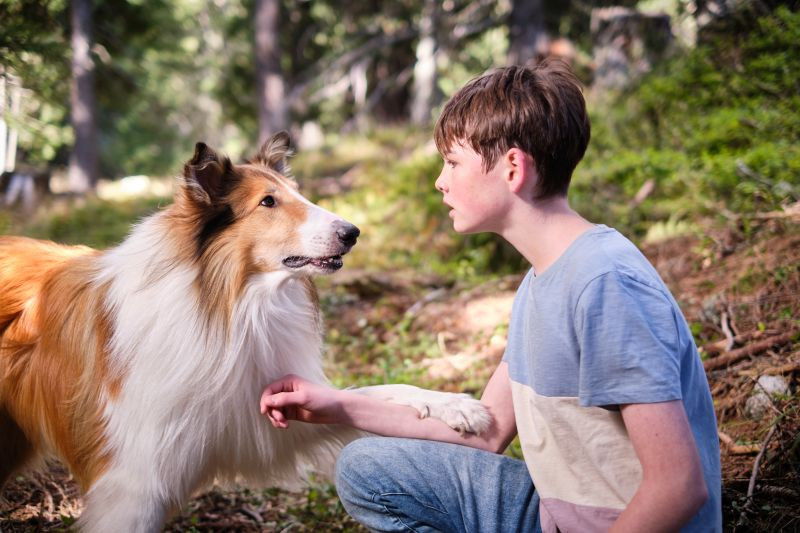 “Lassie – A New Adventure“ od četvrtka 25. januara u kinima