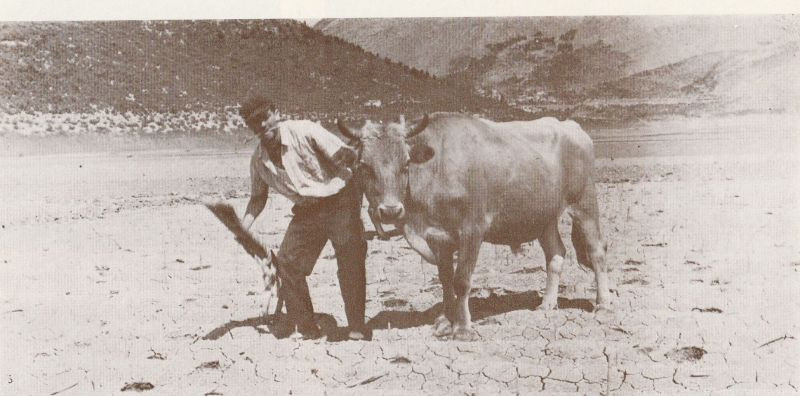 Mala povijest bh. kratkometražnog filma (1947-1990), vol. 11