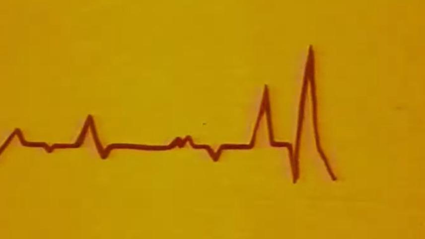 Mala povijest bh. animiranog filma (1961 - 2007), vol. 8