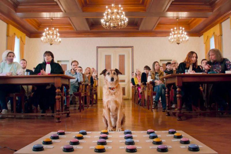 “Le Procès du chien“ na 7. Brussels International Film Festivalu