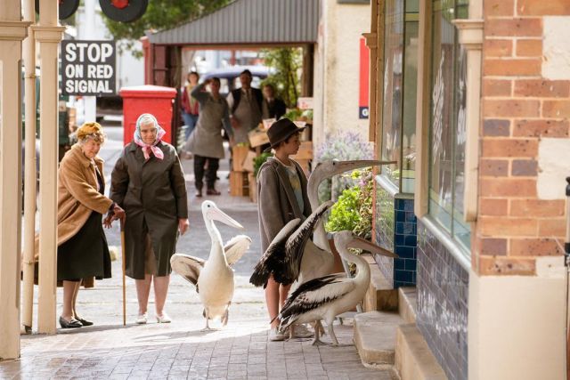 Predstavljamo titlovani trailer za "Storm Boy"