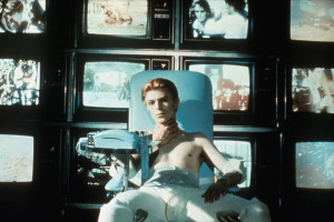 The Man Who Fell to Earth