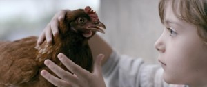 chicken