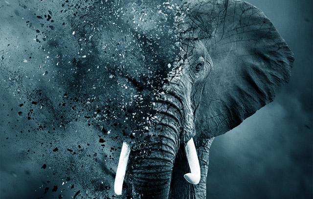 Netflixov dokumentarac za Oscara: "Ivory Game"