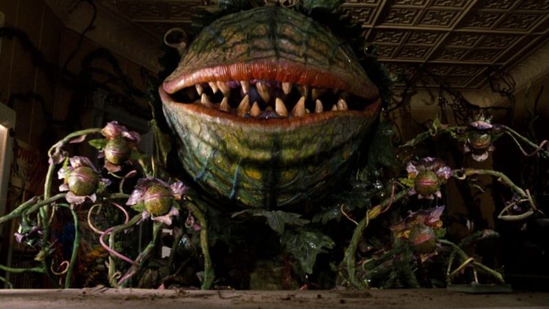 Chris Evans pred dodjelom uloge u remakeu „Little Shop of Horrors“