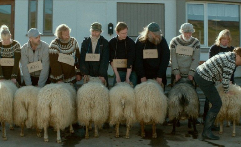 Islandski kandidat na 88. dodjeli Oscara: "Rams"