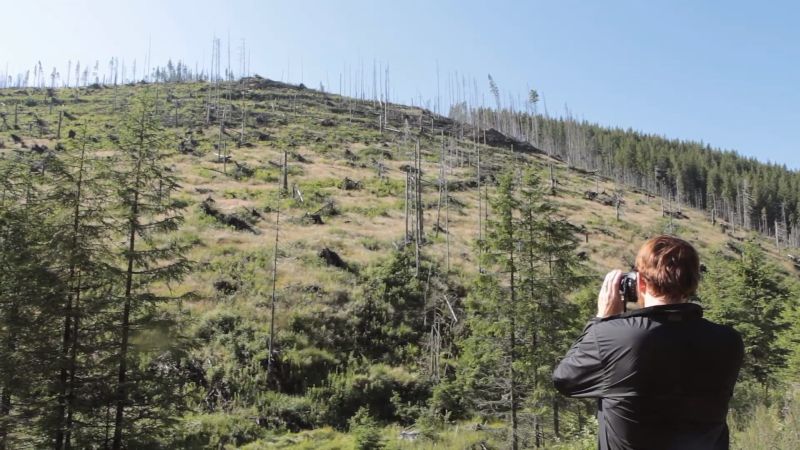 Wood: Parket kao ostavština kolonijalizma