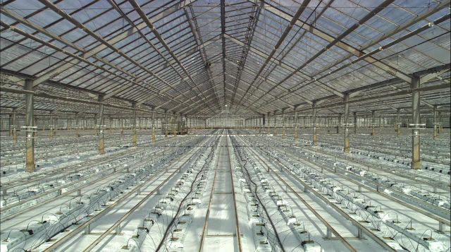 Kruh naš svagdašnji: O (pre)hrani i strojevima